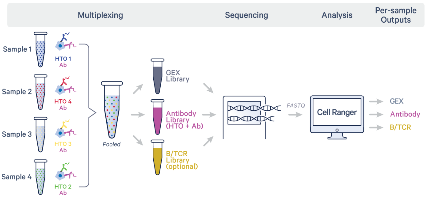 Hashtag Multiplexing Diagram